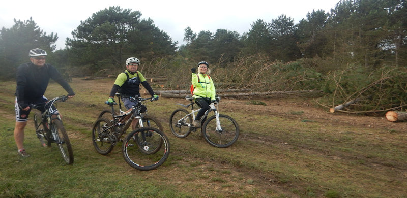 2017-10-28 Vtt Samedi Adultes : Travaux d’abattage sur le Mont-Saint-Quentin.