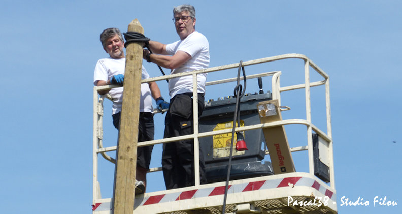 2019-06-04 Les Crapauds au Soleil !